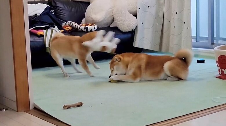 また直撃するか！？と思いきや