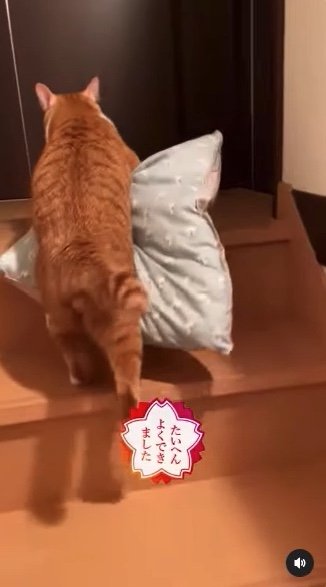 提供：赤瀬川和寿さん