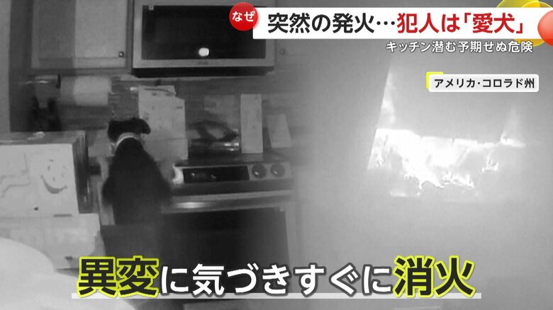 異変に気がつき、すぐに火を消し止めた飼い主