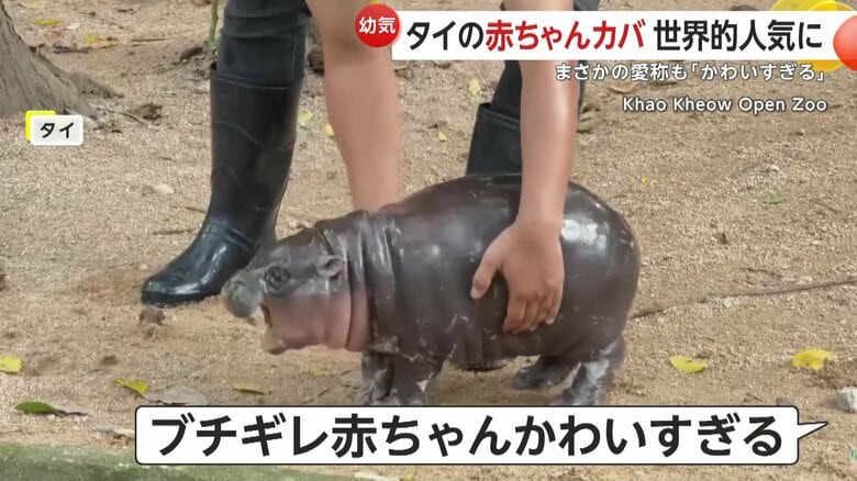 ブチギレの様子も話題