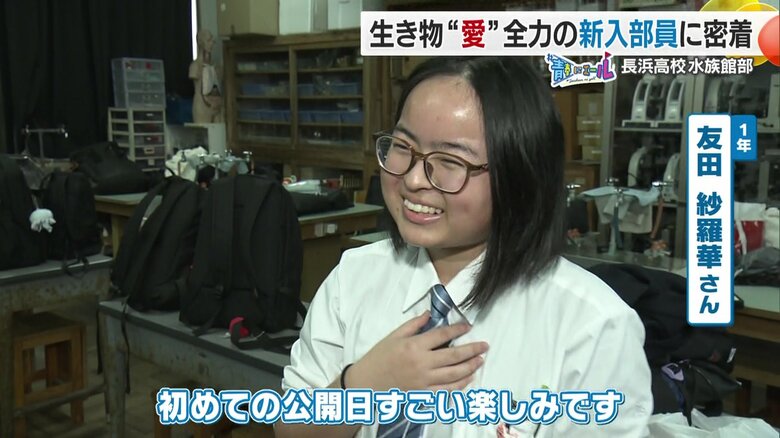 カエルアンコウが大好き