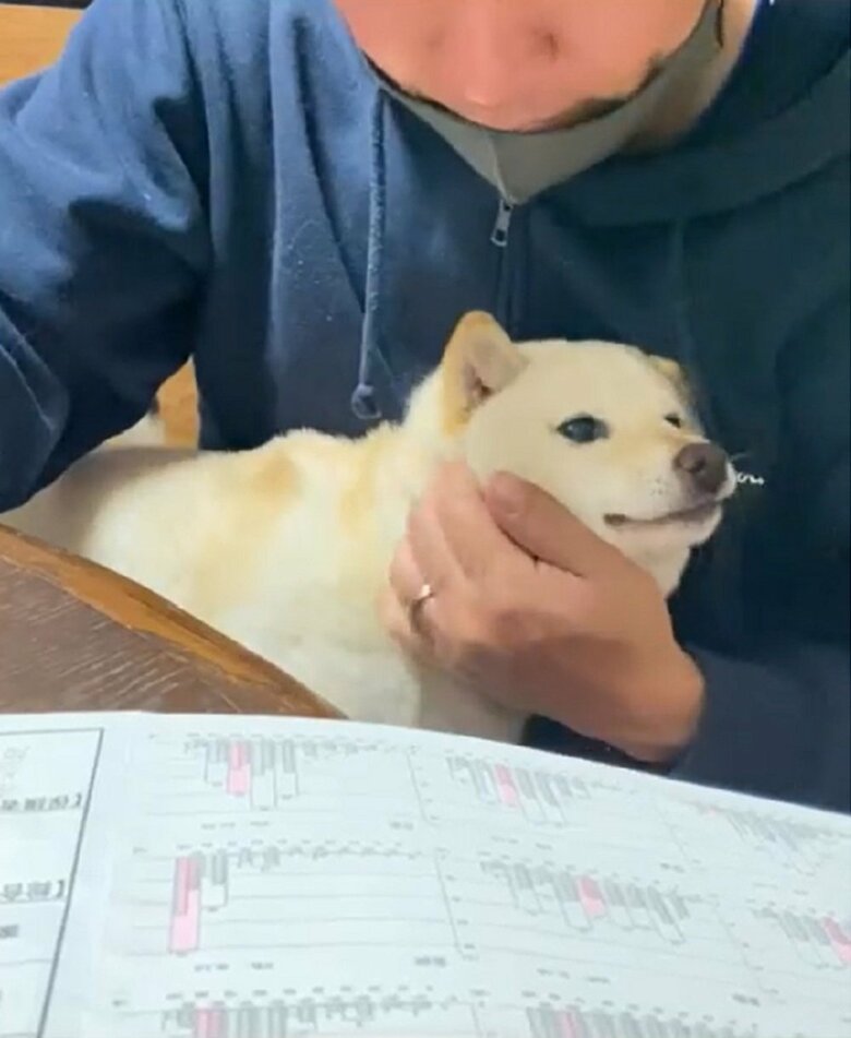 旦那さんのヒザの上で甘えるモチ代ちゃん