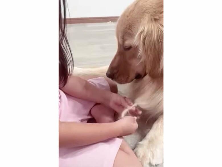 提供：西村 まひろさん