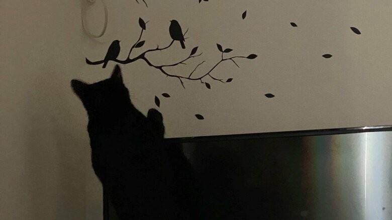 部屋の装飾で遊び始めることも