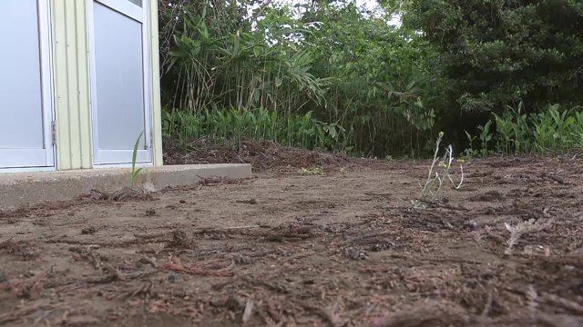 車の音や人の生活音がある所で生まれ　そこが故郷に