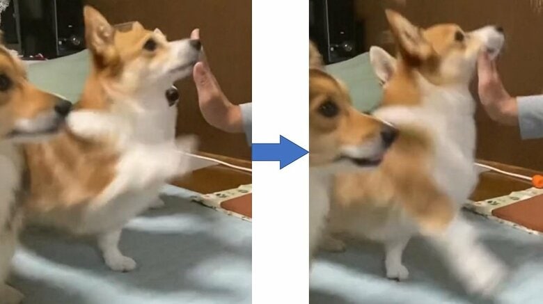 ハイタッチしようとするも、勢いよく空振り！