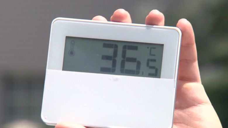 6月末に早くも36℃を示す温度計