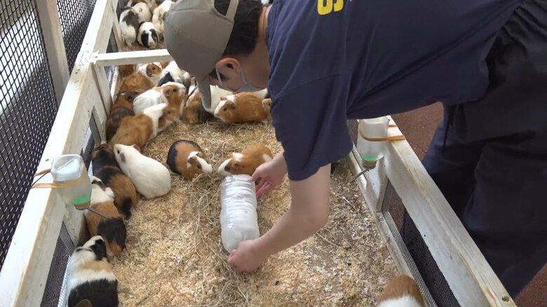 画像提供：公益財団法人東京動物園協会