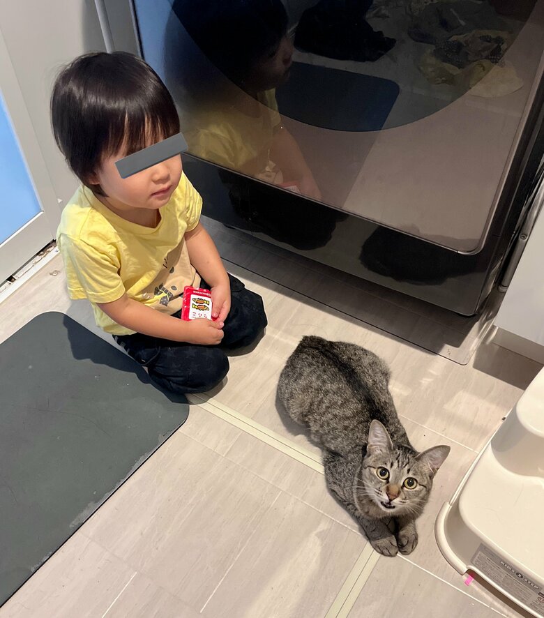 ふりかけ泥棒グループ（提供：すずつむふうさん）