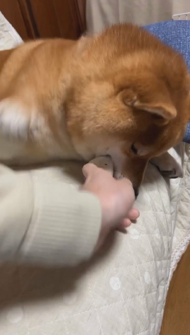飼い主さんが手を引っ込めないでいると…