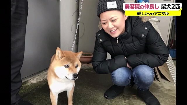 「助けてあげたい」の一心で華ちゃんを迎え入れることを決めた高畑さん