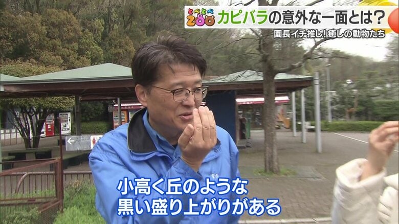 案内してくれている宮内園長