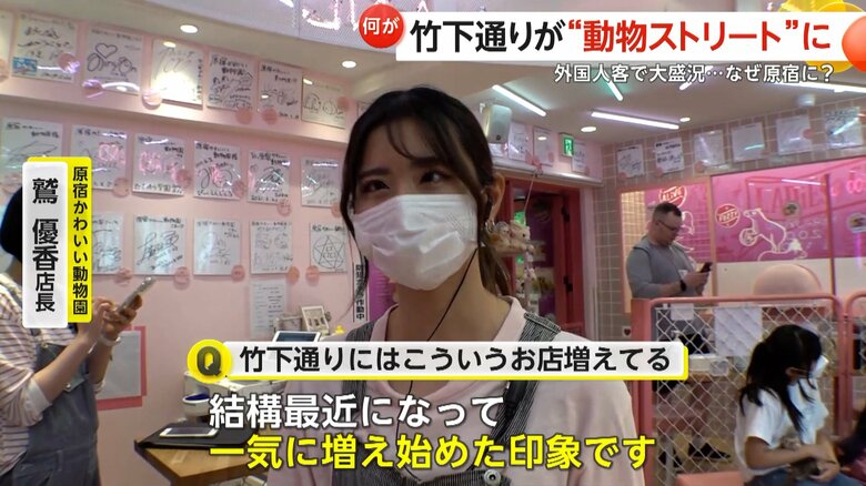 竹下通りの動物カフェについて語る原宿かわいい動物園・鷲優香店長