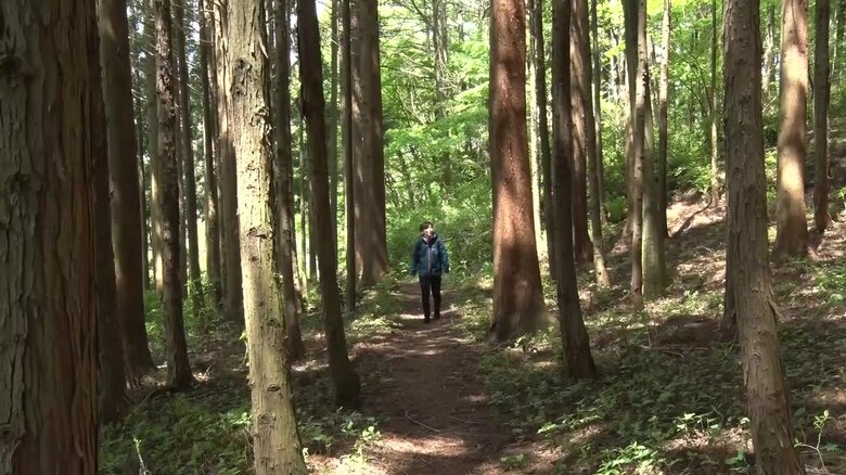 岩山の登山口を入ると…