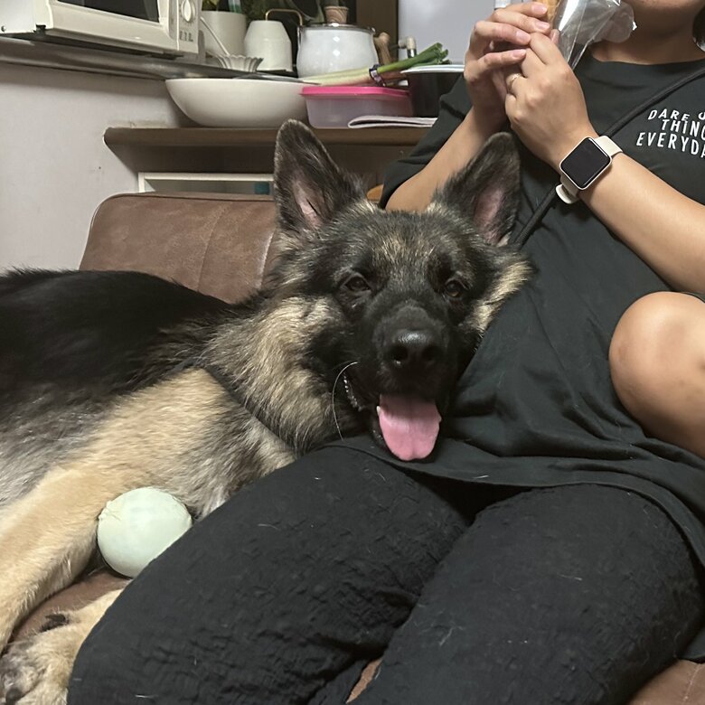 やっぱり甘えん坊？