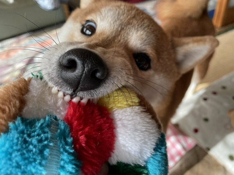 遊びには全力で！