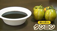抗菌・消臭効果がある「渋柿マスク」が話題　廃棄される柿10トンを有効活用し地元の特産を守る【鳥取発】