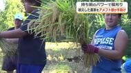 大雨被害で途方に暮れた農家に力強い助っ人　福井県立大学アメフト部が稲刈りの手伝い　田んぼ周辺が崩落し機械での稲刈りが困難に