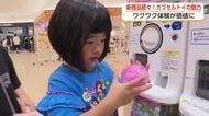 「欲しいやつ出た、嬉しい」市場規模2000億円に迫る勢い　カプセルトイが幅広い世代を虜にする理由