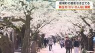 淡いピンクの花が宿場町の面影残る建物に反射する光景も…県北の新庄村で「がいせん桜」が満開【岡山】