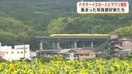 ドクターイエローとヒマワリが同時に撮影できる写真スポット　ドクターイエローは2027年1月で引退　写真愛好家たちのシャッター音が響くヒマワリ畑