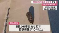 市街地でクマ目撃が相次ぐ気仙沼市　市役所近くでも体長１メートルのクマが出没　宮城県内全域に注意報
