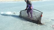 明治から続く伝統「氷下待ち網漁」厚さ約20センチの氷の穴に仕掛けた網にはコマイやワカサギ！近年は“温暖化影響”で結氷する面積が減少傾向に〈北海道風蓮湖〉
