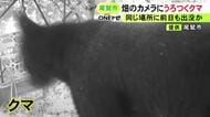 体長1mほどか…三重県尾鷲市の畑に『クマ』養蜂箱などが壊される 24日朝には別個体とみられるクマを駆除