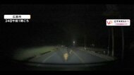 【映像】「ドン！」道路の奥から迫るイノシシ親子、衝突で車のフロントバンパーが真っ二つに　緊迫の一部始終