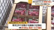 新幹線で新鮮サクランボをスピーディーに「はこビュン」　寒河江市で収穫された佐藤錦・紅秀峰　山形