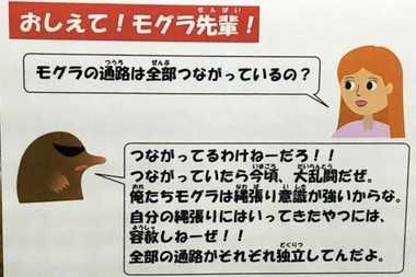 「つながってるわけねーだろ!!」人間の素朴な疑問に“モグラ先輩”はキレながら本質をつく
