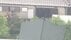 【速報】宇都宮のクマに麻酔銃発射　麻酔の効きを確認中　目撃情報あ…