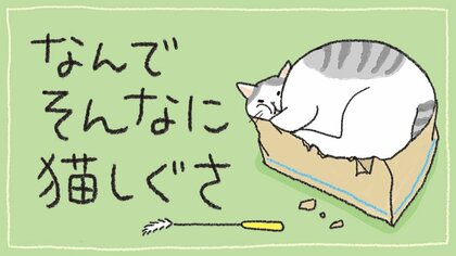 【漫画】なんでそんなに猫しぐさ