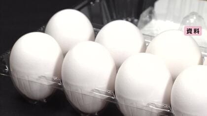 卵の平均小売価格1パック309円で過去最高　年末にかけ高値続く見通し　鳥インフルエンザ発生なら来年も継続か
