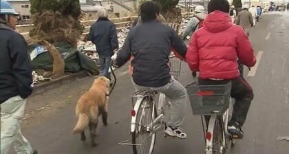 「災害時、ペットを置いて逃げることはできない」　備えている飼い主はわずか2割　避難の際に大切な家族を守るために