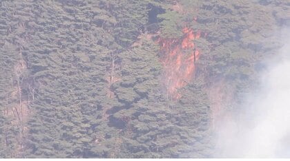 「焼けてしまった」大震災では被害逃れた家が…1340世帯3306人に避難指示の対象拡大　岩手・大船渡の山火事