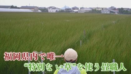 福岡県内で唯一“無染土”のイ草を使用する畳職人 「若い人にも畳の良さを」“畳の景色”を守るため魅力発信
