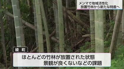 放置竹林から新たな特産へ「綾メンマ」誕生 障害者も参加する地域活性