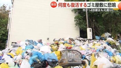 都内で 独自】「ネズミが四六時中」八王子市の“ゴミ屋敷” 14回ゴミ撤去 その他