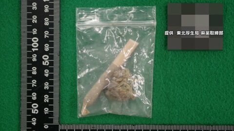 大麻所持疑いで中3男子生徒（15）を逮捕　自宅から乾燥大麻や大麻タバコを押収　仙台市