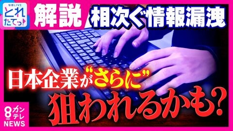 専門家も「原因わからない」前代未聞のペースで相次ぐ不正アクセス　AIで加速するサイバー攻撃の脅威　「氏名や顔は変えられない」免許証画像160万件漏えいで二次被害の恐れも　なぜ日本企業が狙われる？ 