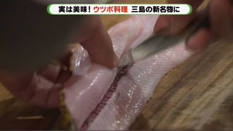 未使用魚 を使う 海のギャング とも呼ばれるウツボのお味は 静岡発