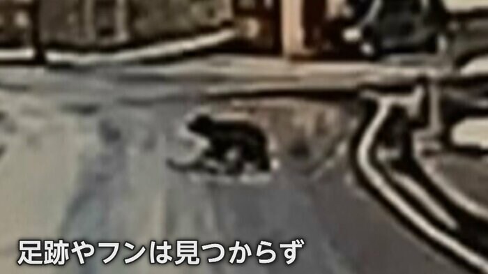 (画像:視聴者ドライブレコーダー映像)