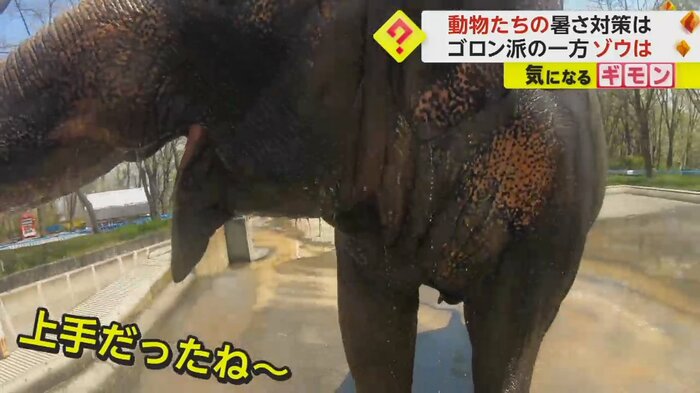 (茶臼山動物園)