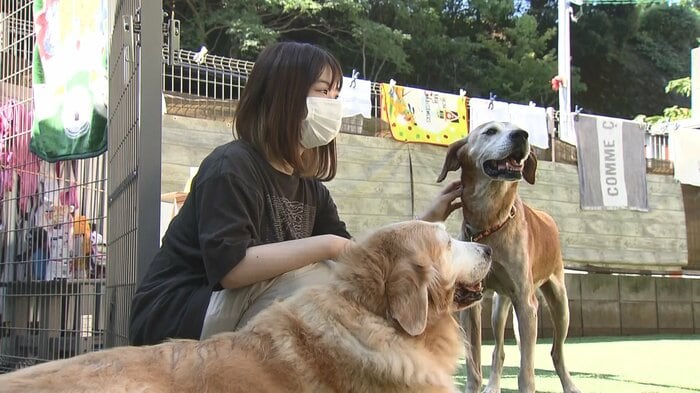収益の一部を動物保護団体などに寄付
