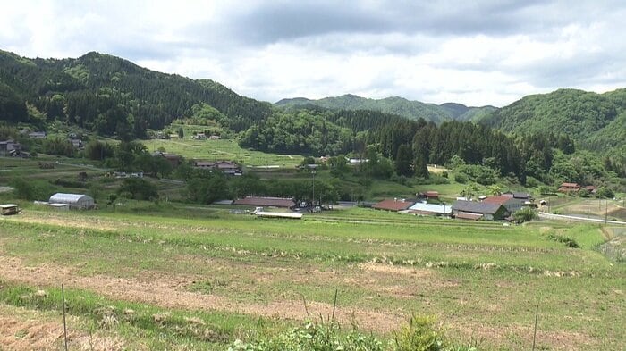 雲南市では約1200ヘクタールの水田が荒廃