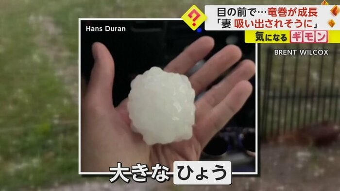 手のひらサイズの大きなひょう