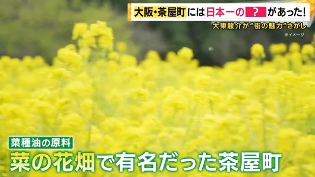 ”菜の花”が由来