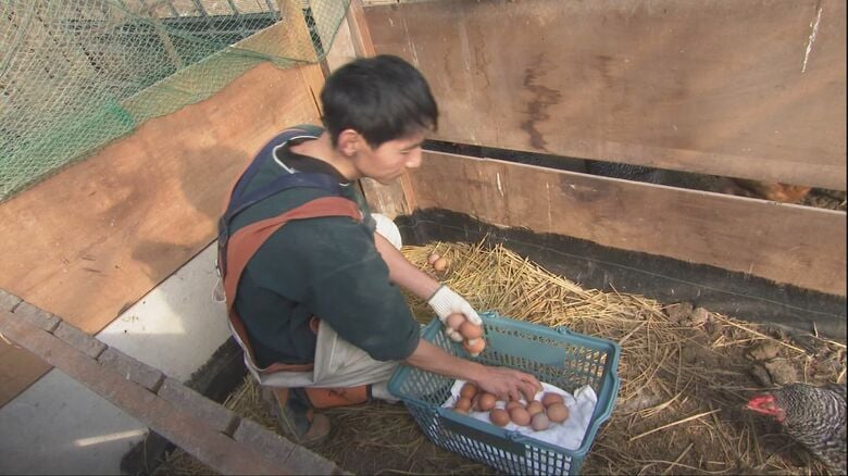 葬儀社勤めから養鶏業へ転身直後に能登半島地震で被災…ニワトリとともに避難した男性は2030年に奥能登に戻る計画｜FNNプライムオンライン