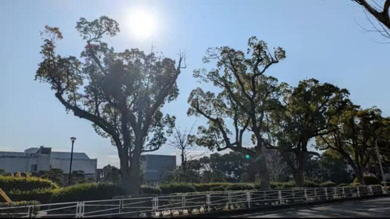 唐津市で21.7℃ 県内季節外れの暖かさに 今夜からは大気の状態が非常に不安定【佐賀県】｜FNNプライムオンライン